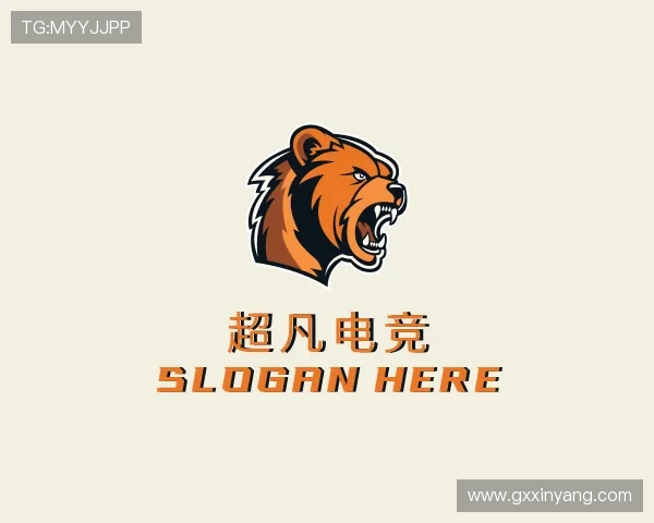 介绍赛事数据